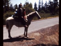 Shari  and Horse